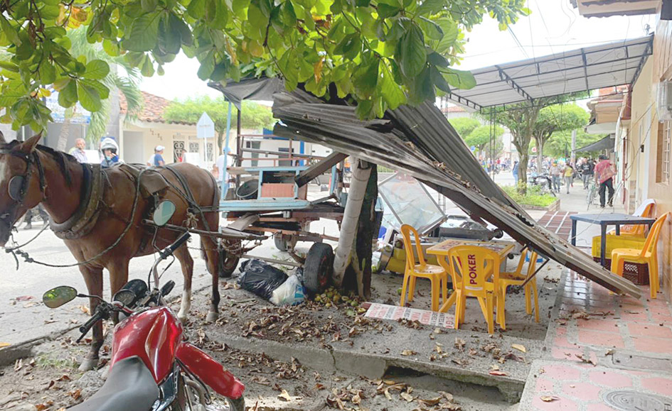 Carretilla se descontroló y arrasó con lo que encontró a su paso