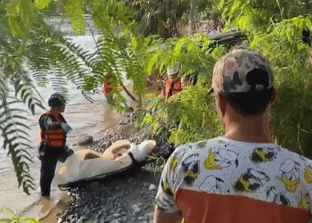 El hombre cayó y se ahogó en el río, al parecer estaba alicorado