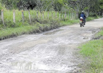 Vía al Jardín Botánico, un corredor turístico sin atención