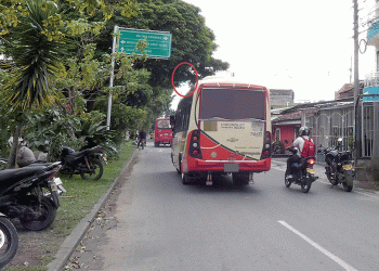 Ramas de los arboles siguen “eclipsando” los semáforos
