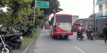 Ramas de los arboles siguen “eclipsando” los semáforos