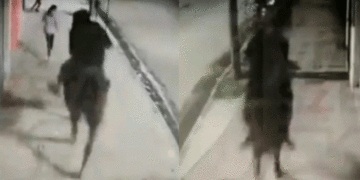 A lomo de caballo atracaba a transeúntes en plena vía pública