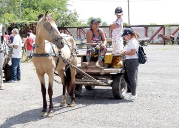 Buscan puntos de acuerdos entre carretilleros y municipio