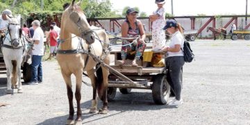Buscan puntos de acuerdos entre carretilleros y municipio