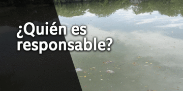 Denuncian mortandad de peces en el Lago Chillicote de Tuluá