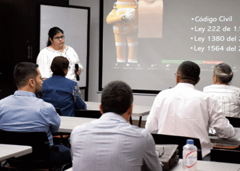 Conozca cómo funciona la ley de insolvencia económica