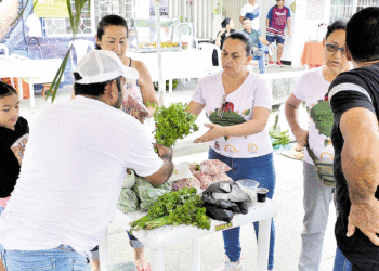 Fortalecen mercado campesino en Toro