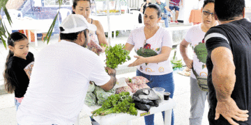 Fortalecen mercado campesino en Toro