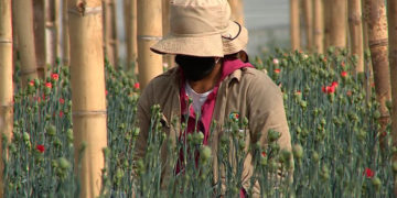 Ley de la mujer rural será ajustada para que responda a nuevos retos