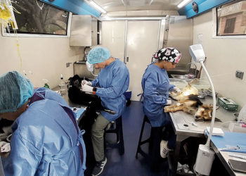 Gobernación intensifica jornadas de vacunación en el departamento