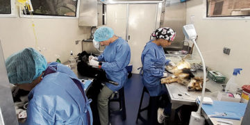 Gobernación intensifica jornadas de vacunación en el departamento