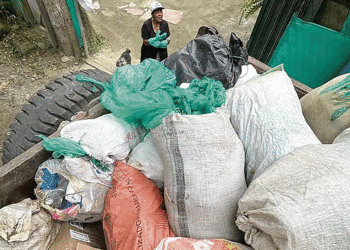 Una jornada por el medio ambiente
