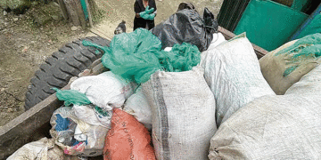 Una jornada por el medio ambiente