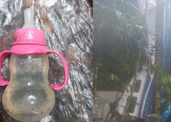 Luego de quince días aparecieron sanos y salvos los niños que se habían accidentado en un siniestro aéreo