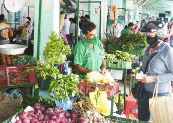 Campesinos empezarían a recibir múltiples beneficios; los agricultores de Tuluá destararon iniciativa
