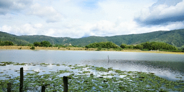Confirman un nuevo humedal; Al Charco de Oro y La Bolsa, se suman al cuerpo de agua de gran impacto