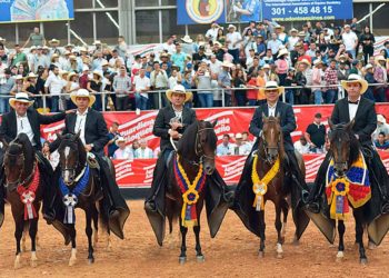 Hermosos ejemplares en tres días de fiesta equina
