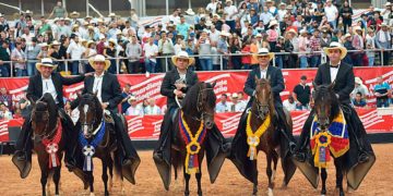 Hermosos ejemplares en tres días de fiesta equina
