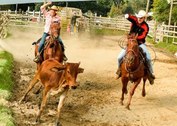 Vuelve la vaquería a la plaza ferial