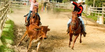 Vuelve la vaquería a la plaza ferial