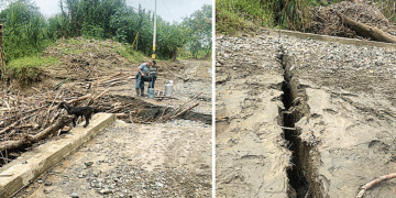 La estructura presenta varias dilataciones