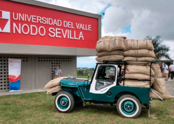 Univalle Sevilla sigue creciendo y ampliará cupos