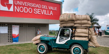 Univalle Sevilla sigue creciendo y ampliará cupos