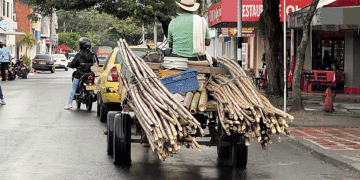 ¿Y quién protege a estos caballitos?