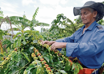 Desde el Valle se hace el llamado al Gobierno