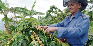 Desde el Valle se hace el llamado al Gobierno