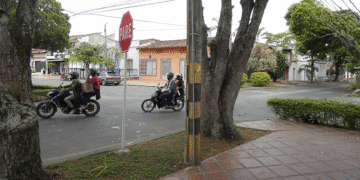 Habitantes del Alvernia reclaman señalización vial