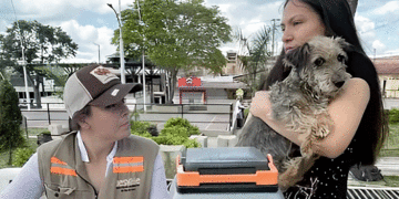 Llamado a vacunar sus mascotas para evitar el moquillo
