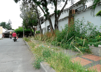 Como el tema las acacias… ya no vive nadie en ella