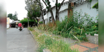 Como el tema las acacias… ya no vive nadie en ella