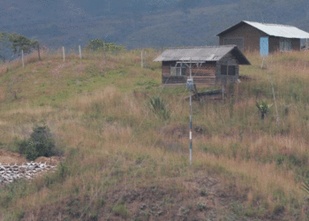 Agilizarán la extinción de dominio rural; el gobierno aclaró que no se trata de un mecanismo exprés