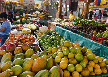 Estos alimentos subirían de precio por bloqueos en vía Panamericana