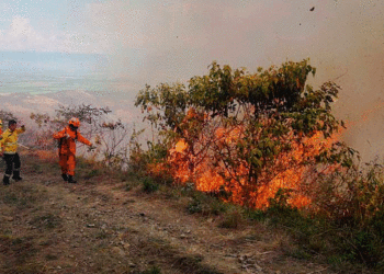 No sea generador de incendios; la prevención es el primer elemento para evitar daños irreparables al medio ambiente