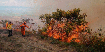 No sea generador de incendios; la prevención es el primer elemento para evitar daños irreparables al medio ambiente