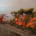 No sea generador de incendios; la prevención es el primer elemento para evitar daños irreparables al medio ambiente