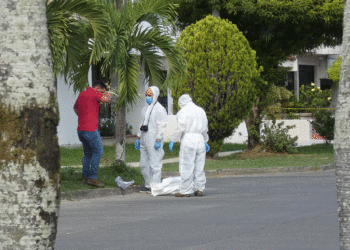 Otro macabro hallazgo en el Alvernia