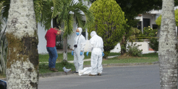Otro macabro hallazgo en el Alvernia
