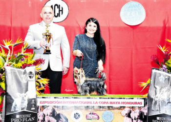 Manejadora tulueña se destacó en Honduras
