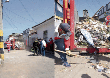 Por favor, denuncie a los «cochinos»