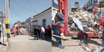 Por favor, denuncie a los «cochinos»