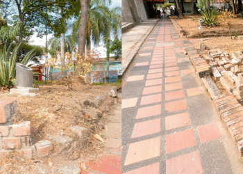 El parque de los «pachitos» se desmorona