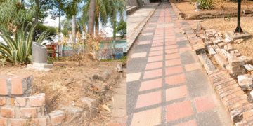 El parque de los «pachitos» se desmorona