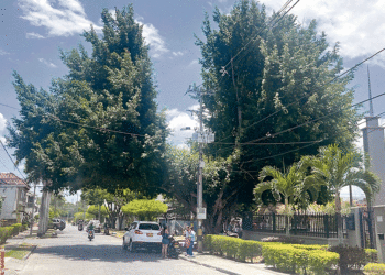 Soldado avisado, no muere en guerra