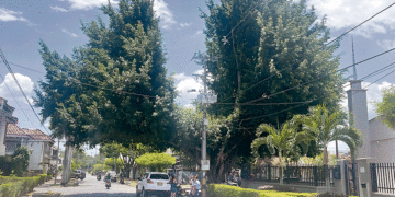 Soldado avisado, no muere en guerra