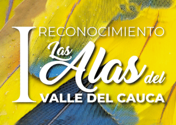 Alas para los ambientalistas