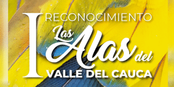 Alas para los ambientalistas